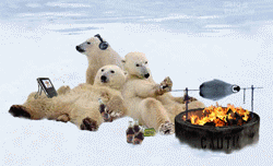 Party con orsi polari