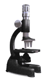 microscopio ottico