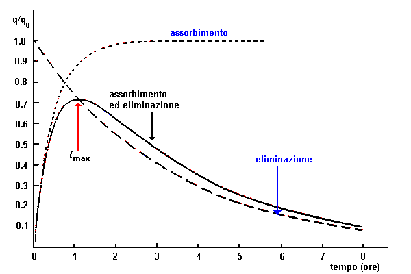 curve di assorbimento-eliminazione