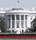 white House 