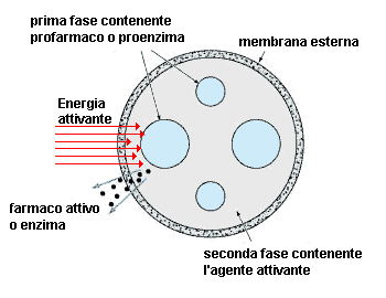 microcapsula a due fasi